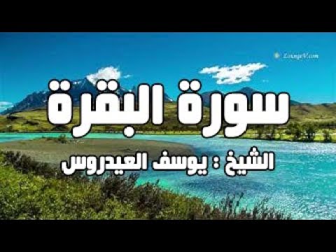 سورة البقرة يوسف العيدروس سورة البقرة shorts
