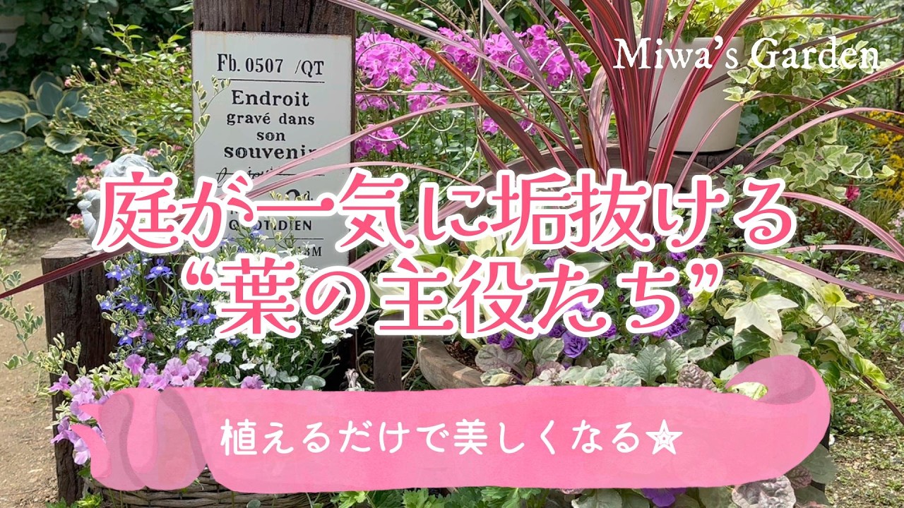 ガーデニング🌿庭が一気に垢抜ける“葉の主役たち”＊植えるだけで美しくなるリーフ選び｜宿根草の庭づくり