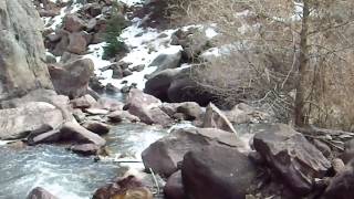 Tenkara Fishing in Colorado - Short Video of Boulder Creek