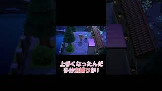 虫捕りが上手くいきすぎてる日【あつ森】
