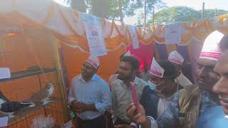 বিজয় দিবস উপলক্ষে প্রাণিসম্পদের স্টল