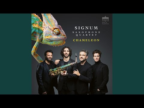 String Quartet No. 37 B Minor, Op. 33 No. 1 Hob. III:37: I. Allegro Moderato (Arr. For...