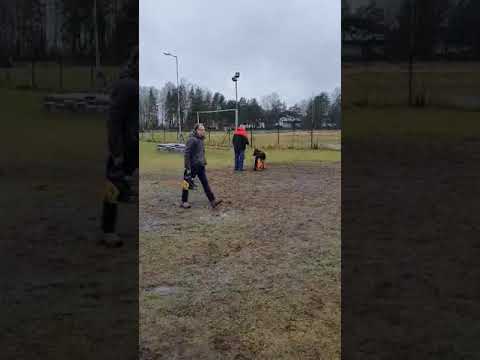 Wesen test 2020.02.08