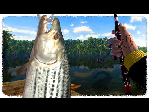 Catching Congo River MONSTERS (these things are HUGE!) | FISHING PLANET