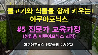 [서유채Farm - 5편] 아쿠아포닉스 전문가가 되고싶다면?