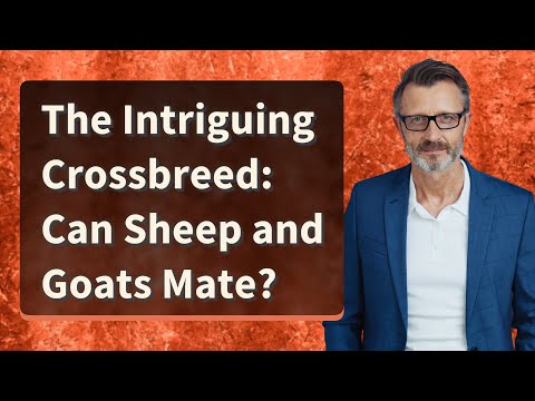 , title : 'The Intriguing Crossbreed: Can Sheep and Goats Mate?'
