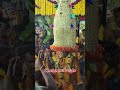 Famous Bangalore Karaga 2023 Sarjapur Jatre Kannada Karnataka Temple Kantara