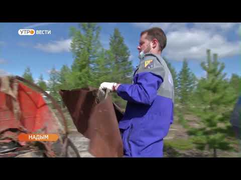 Штрафы в размере 127 миллионов экология Ямала продолжает страдать