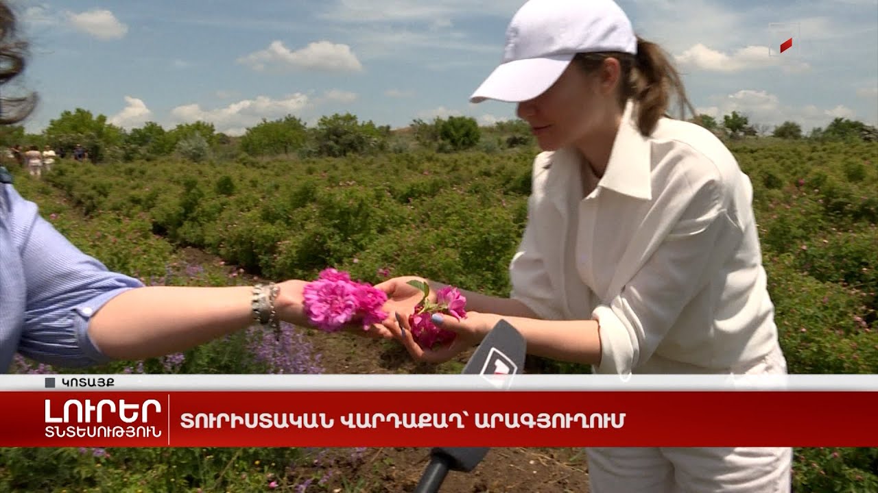 Տուրիստական վարդաքաղ՝ Արագյուղում