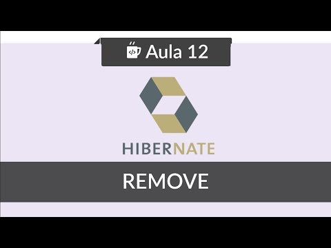 JPA com Hibernate 12 Removendo registro remove