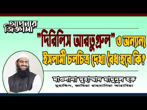 দিরিলিস দেখা যাবে কি? মাওলানা মুহাম্মাদ মামুনুল হক