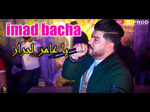 Imad Bacha & Nassifo 100% Staifi  | Ya ameur lahrar -  | يا عامر لحرار