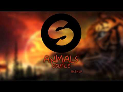 Martin Garrix & Bad Youth vs Alex Kunnari - Animals Bounce (Dreamer Mashup)