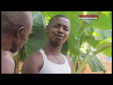 OMENALA AMAKA (POWER OF THE GODS SEASON 2)