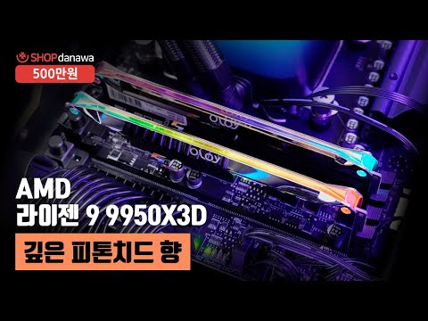 AMD ¶óÀÌÁ¨9-6¼¼´ë 9950X3D (±×·¡´ÏÆ® ¸´Áö)