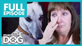 Thumbnail del capítulo