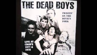 Ain't It Fun by Dead Boys