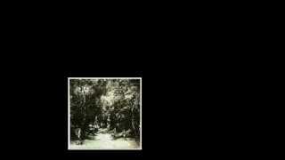 Martial Canterel - Forms