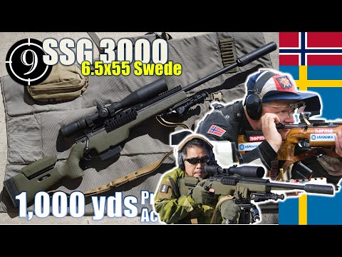 🥇 SIG Sauer SSG 3000 [🇸🇪 6.5x55 SE 🇳🇴 "Comp 200 STR" Sniper Rifle] to 1,000yds: Practical Accuracy