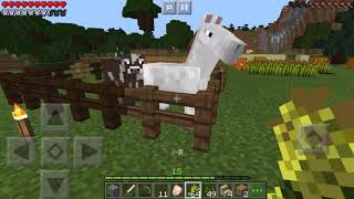 【Minecraft】Part５ 初心者雑談実況プレイ　牧場作り編