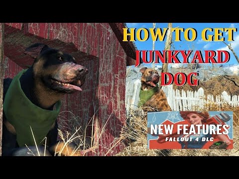 How to Get Junkyard Dogs Wasteland Workshop Fallout 4