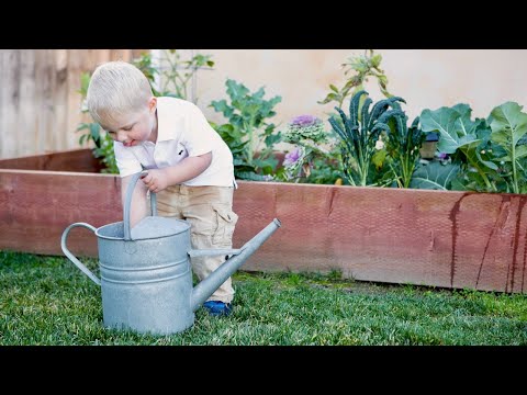 Easy and Effective Water Saving Tips for your Garden
