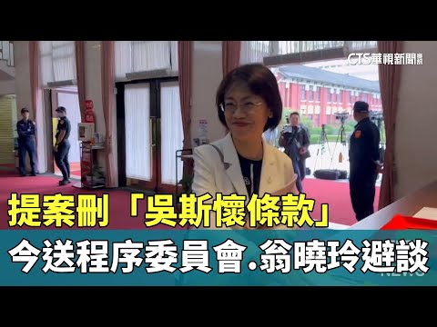 提案刪「吳斯懷條款」今送程序委員會　翁曉玲避談