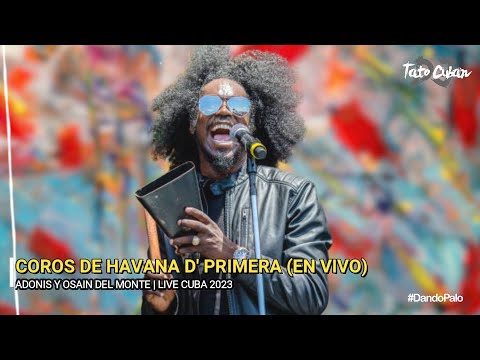 Adonis y Osain del Monte - Coros de Havana D' Primera - | Live Cuba 2023 | Tato Cuban DJ