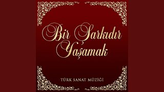 Suya İner Tavşanlar