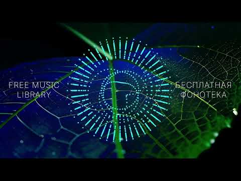 Amanda Pryce - Secret Shores