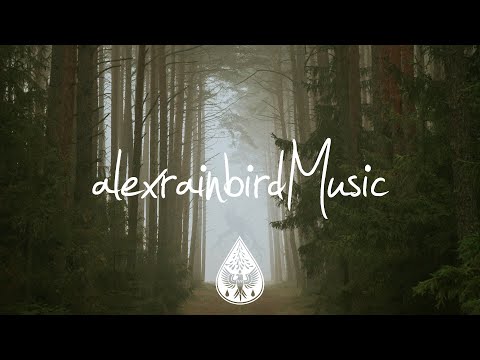 Freight Train Foxes - Where The Monsters Live