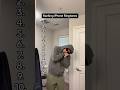 Ranking IPhone Ringtones ️ Insp By Okcron