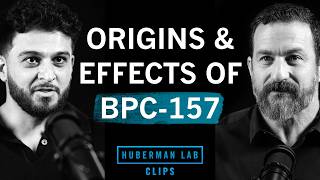 Origins & Effects of BPC-157 | Dr. Abud Bakri & Dr. Andrew Huberman