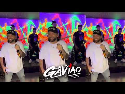 FORRÓ DU GAVIÃO - ZUM ZUM ZUM - AÍ AI AI VOCÊ METE BEM DE MAIS