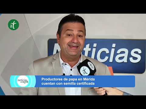 Mérida cuenta con semilla de papa certificada