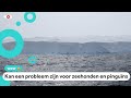 De grootste ijsschots ter wereld is op reis