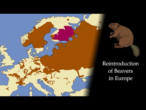 Reintroduction of Beavers in Europe: Every Year (1900-2021)