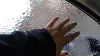 Spring in Montreal - Ice storm collateral - April 16, 2018