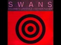 Swans Celebrity Lifestyle (mit lyrics)