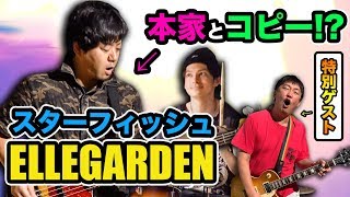Ellegarden スターフィッシュ Starfish 한글 자막 تنزيل الموسيقى Mp3 مجانا