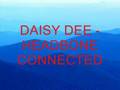 Daisy Dee Headbone Connected