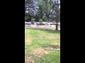 Detroit Zoo Pt 2