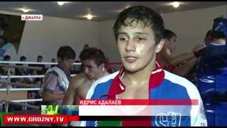 В Чечне прошел турнир по боксу