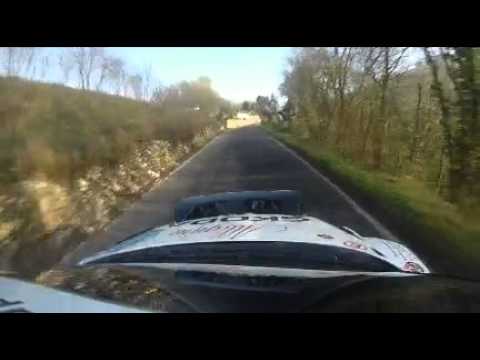 Pasquali Allegrini camera car Driver Rally show 2014
