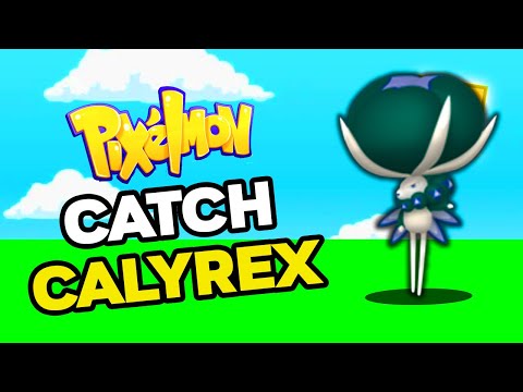 How to Find CALYREX in PIXELMON Reforged 9.1.13!