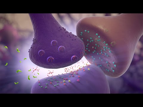 Glutamate Modulation | MOA Animation