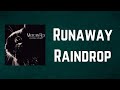 Mercury Rev - Runaway Raindrop (Lyrics)