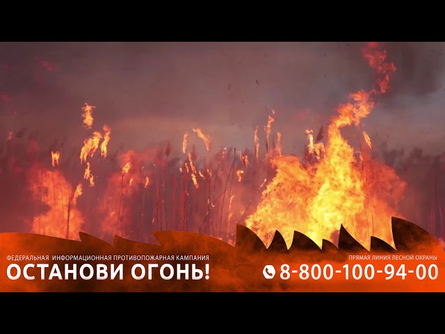 Берегите лес: Причины лесного пожара