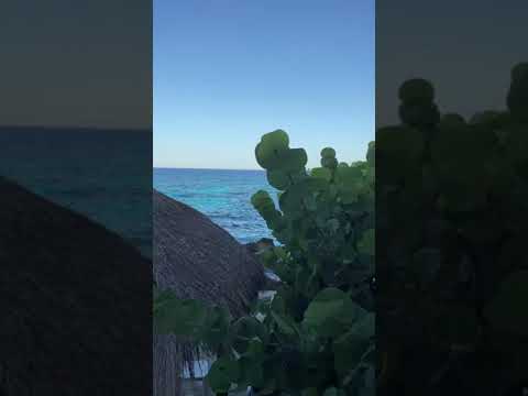 Chakra Balancing Series - Day 35 - 7 “Demons” - Crown Chakra Demon - Attachment