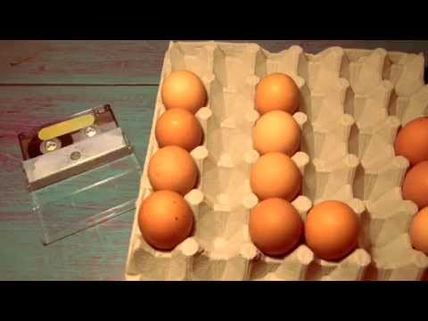Ø +yn and Rapa Nui - Eco Paradigma - Jazzy Egg Improvisation
